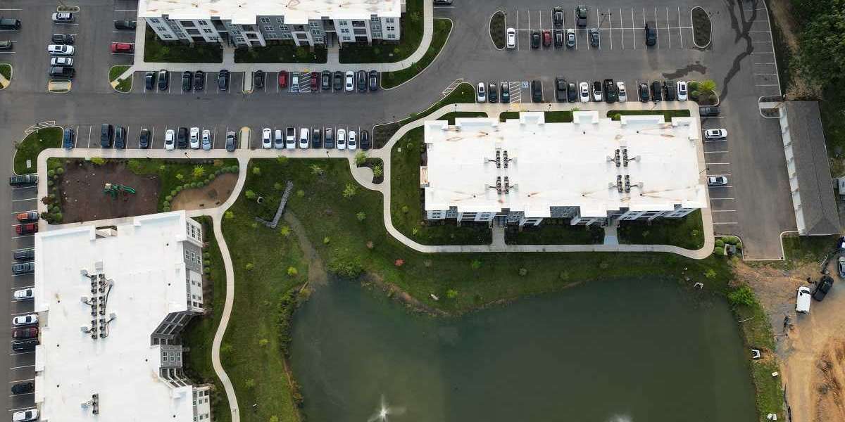 Exciting Things to Do When Visit Knoxville