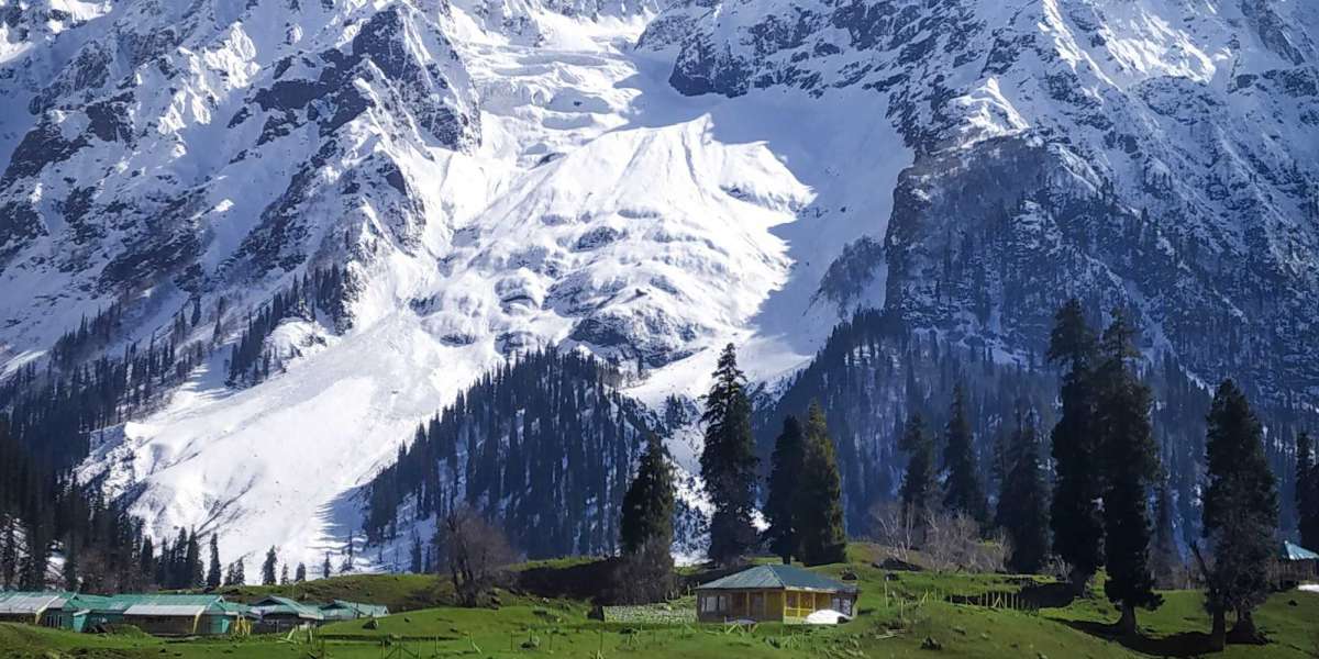 cheapest ladakh tour packages for 2023