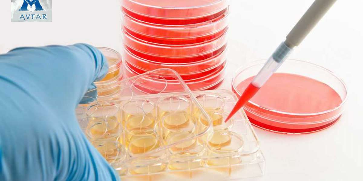 Automated Cell Culture Market Report Witness the Industry to have a Steady Rise