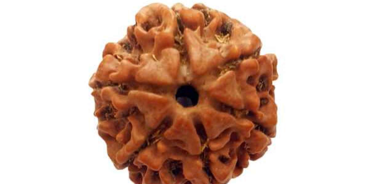 The Benefits of Wearing 6 Mukhi Rudraksha on Physical and Mental Health