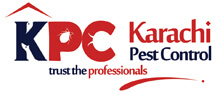Karachi Pest Control | Fumigation Services In Karachi karachipestcontrol