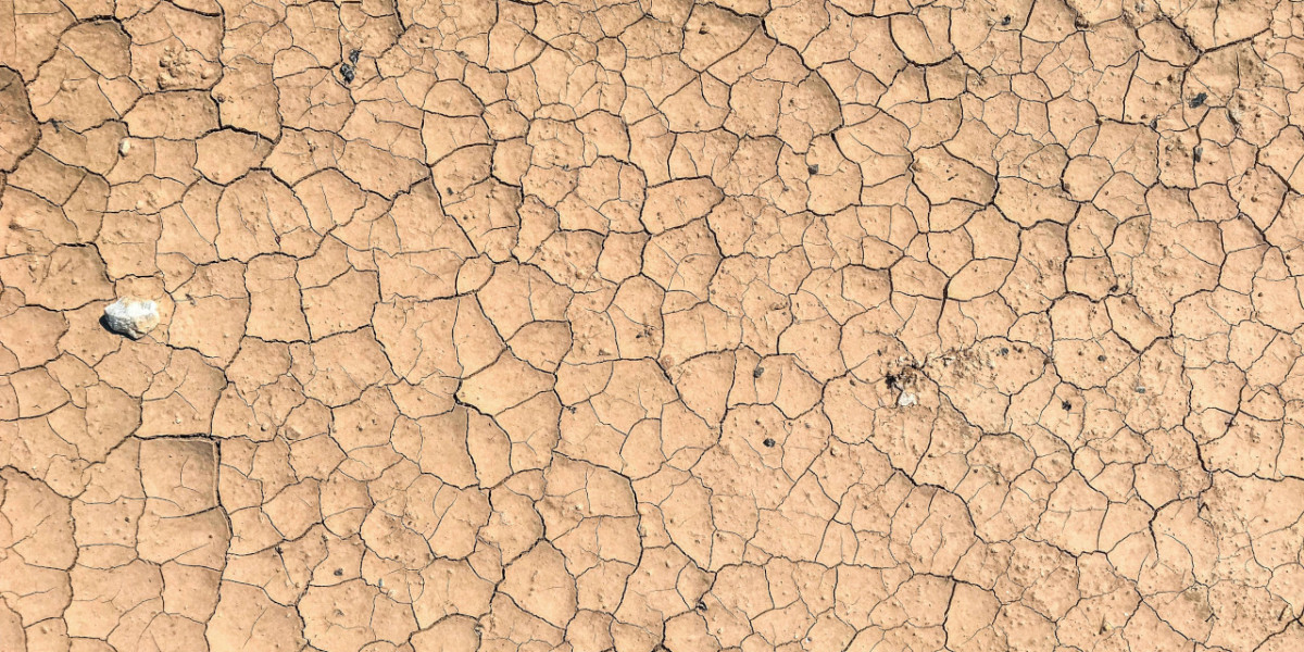 Outselling entities: slower evolution test to pose your card