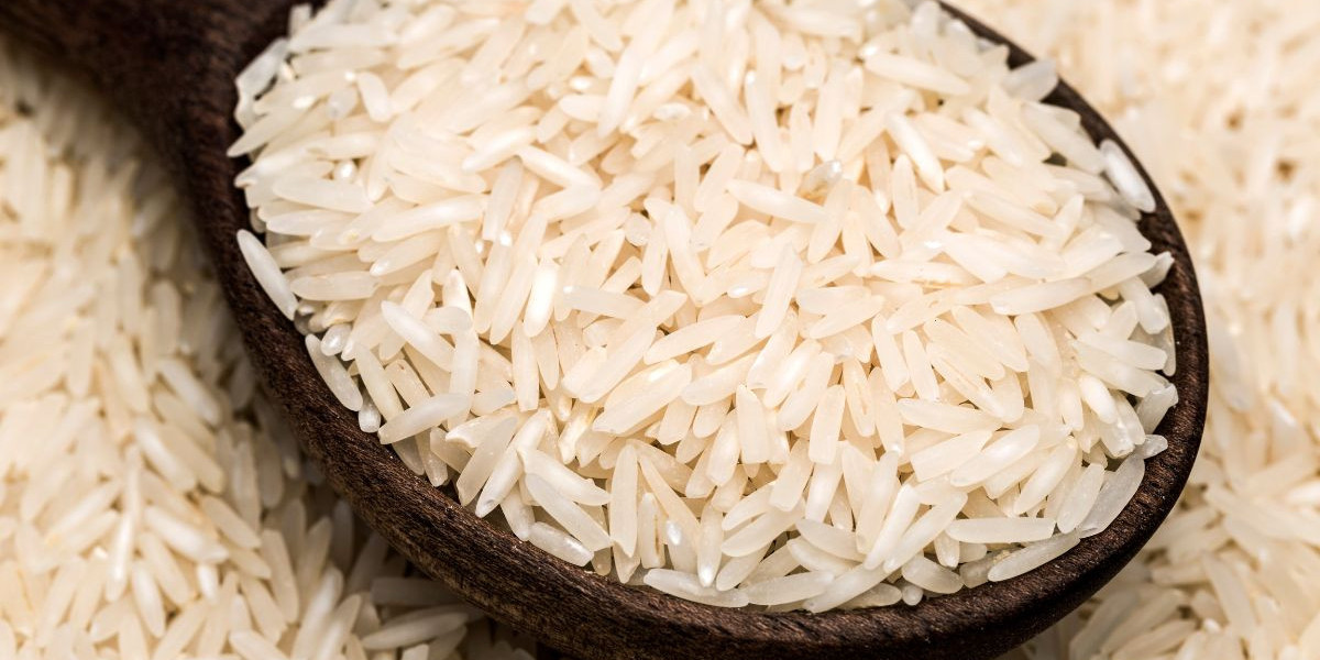 Mercado del Arroz en Colombia: Análisis y Perspectivas 2024