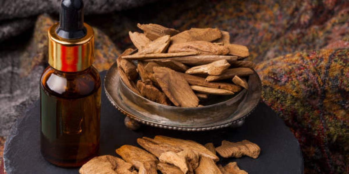 Agarwood Essential Oil Market Dynamics: Current Size, Share, and Future Forecast