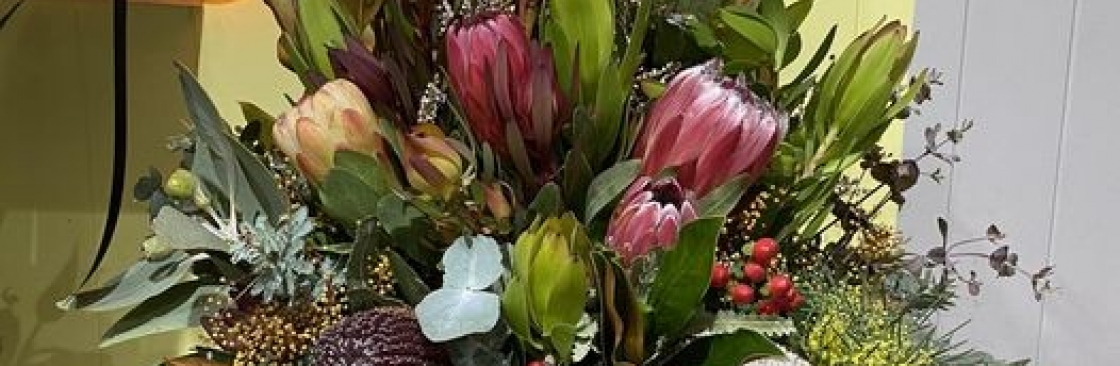 blossomof wyndham Cover Image