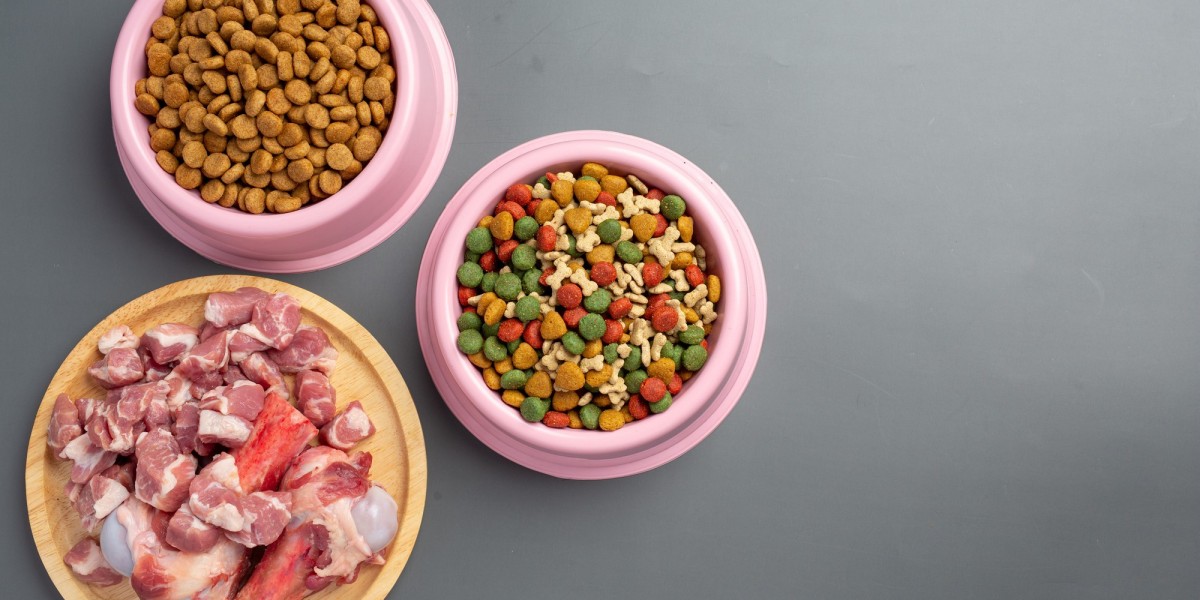 How to Support Your Senior Dog’s Joint Health with the Right Supplements