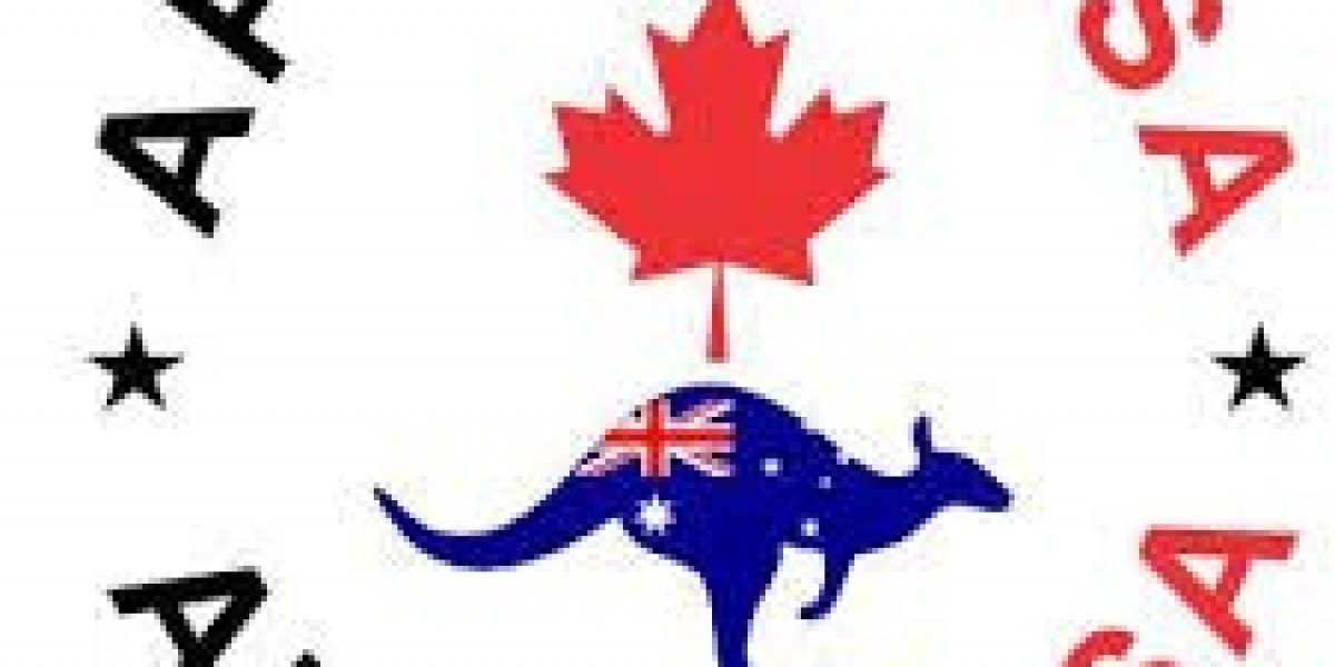 Best Immigration Consultants in Delhi