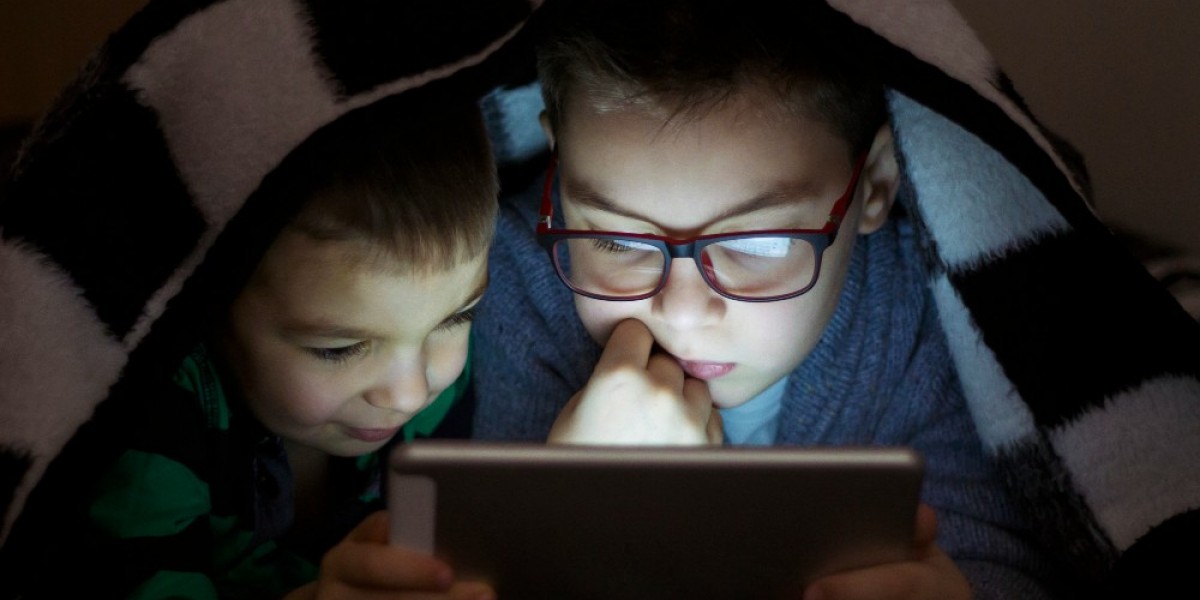 Privacy Concerns in Digital Learning for Kids