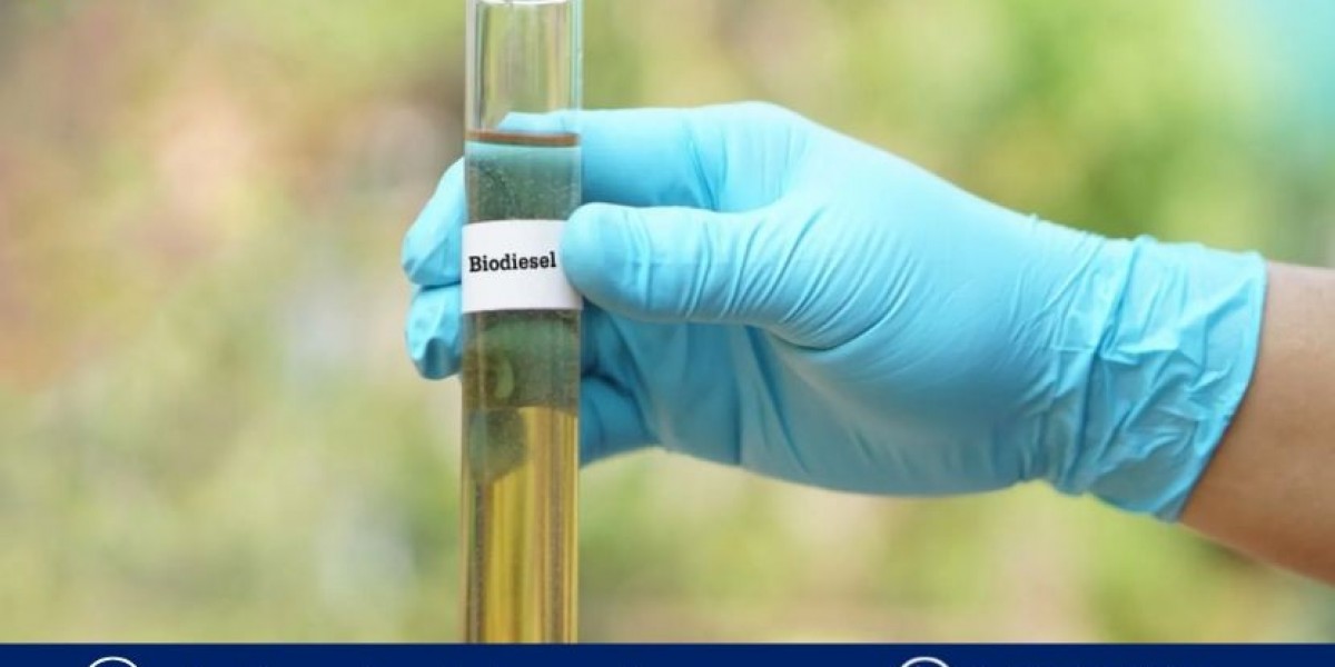 Biodiesel Market Outlook 2025: Supply Chain, Demand Shifts, and Technological Advances