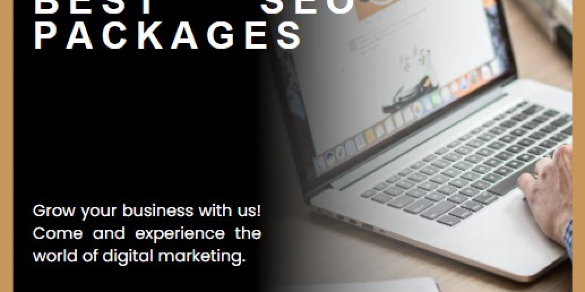 Best SEO Packages for Every Business | Media Monkss