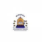 winspinx profile picture