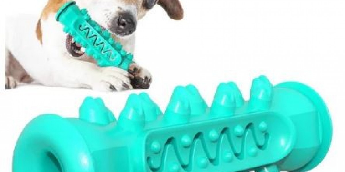 Innovative Pet Toys to Keep Your Furry Friend Engaged