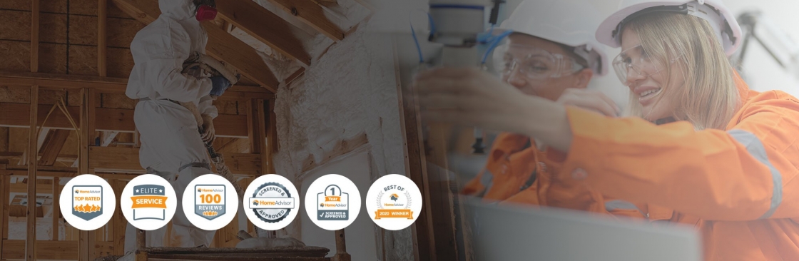 The Mold Guys Cover Image