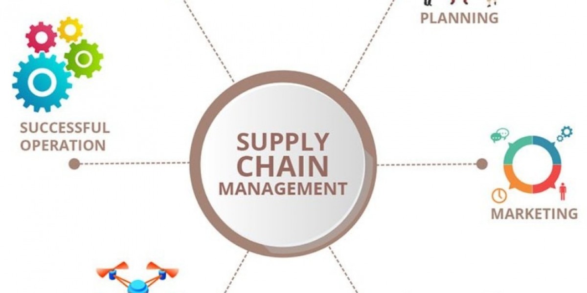 Professional Supply Chain Management Dissertation Writing Service