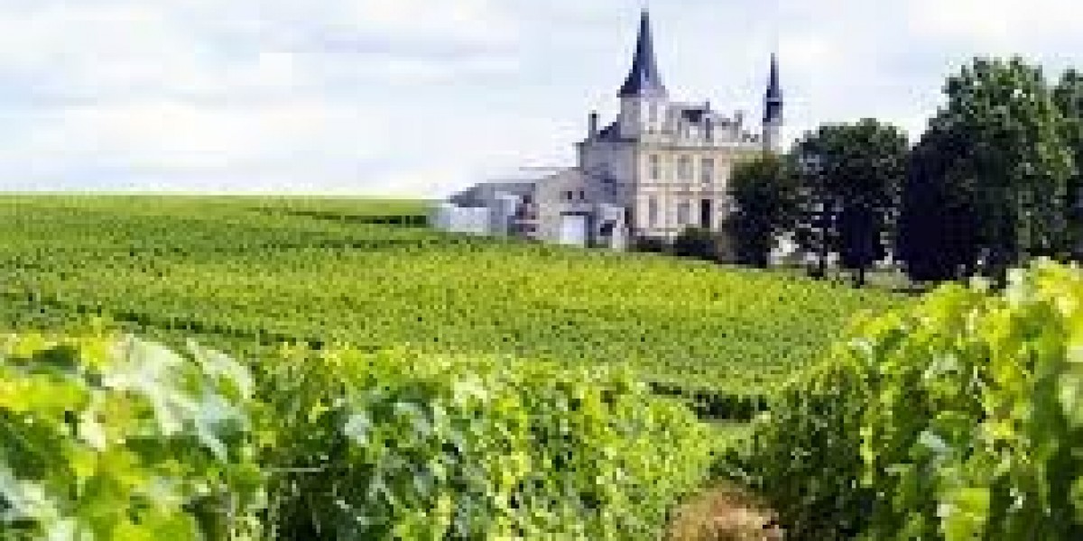 A Perfect Day in Bordeaux: Top Things to Explore and Enjoy