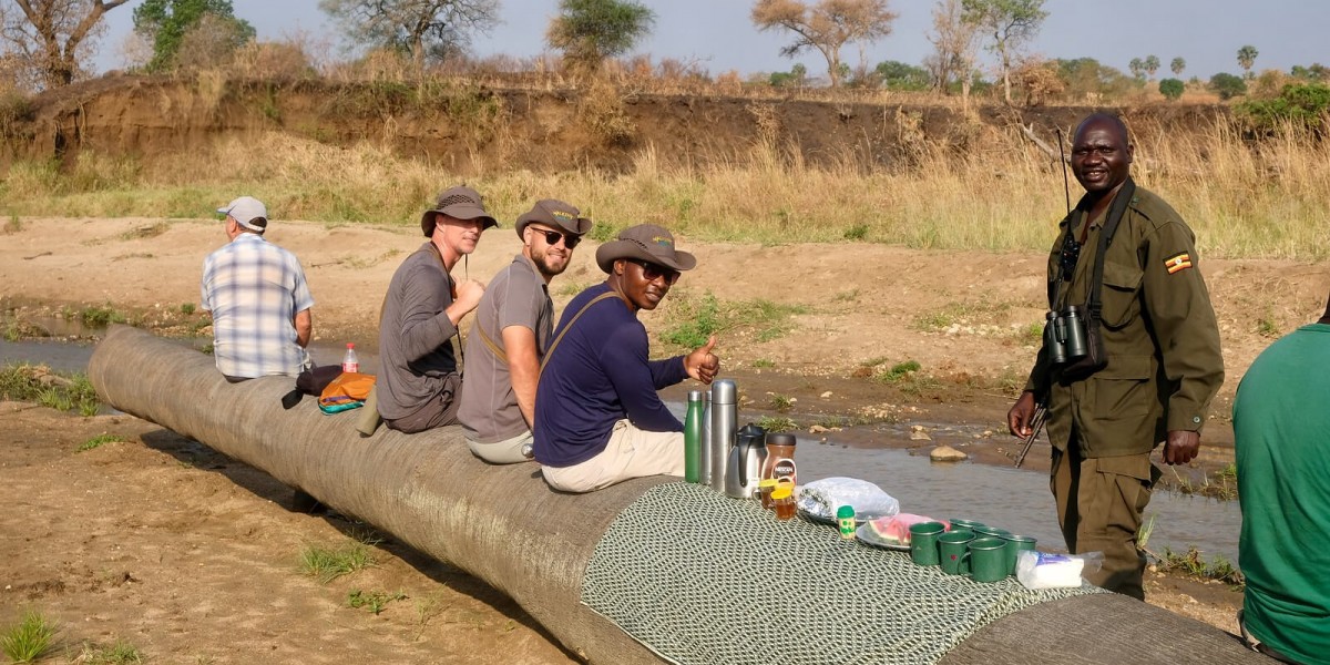 Step Into the Wild: The Ultimate Guide to African Safari Adventures