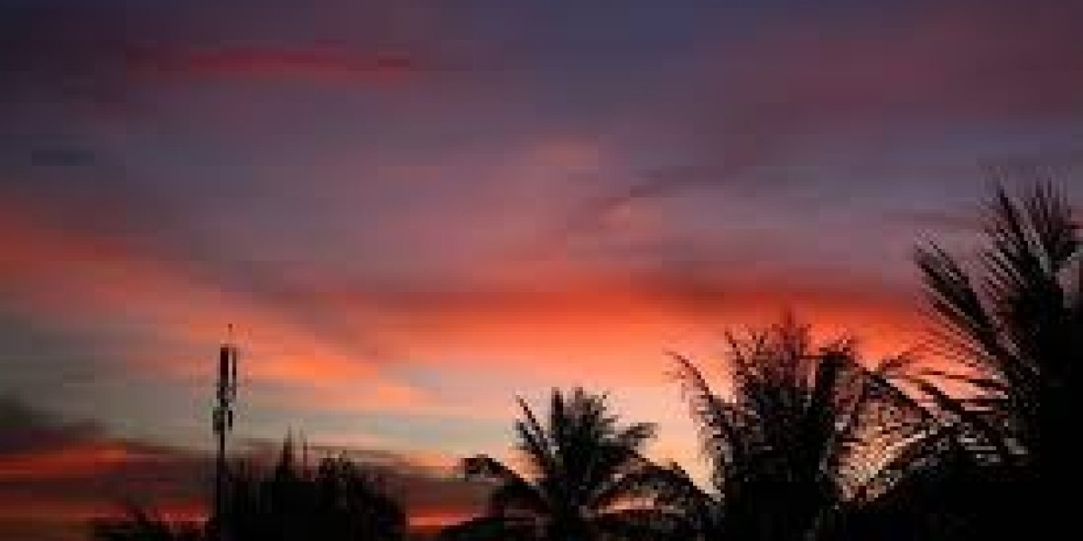 Casinonic Casino: Your Ultimate Online Gaming Destination