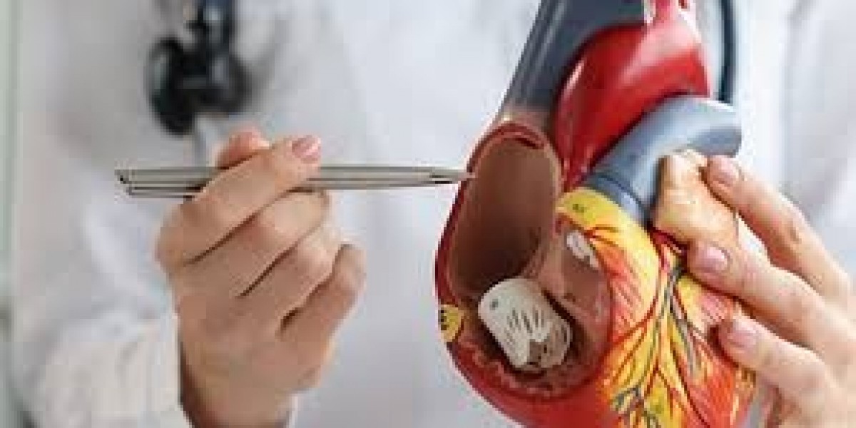 Cardiologist Consultation in Bangalore | Top Heart Specialists Near You