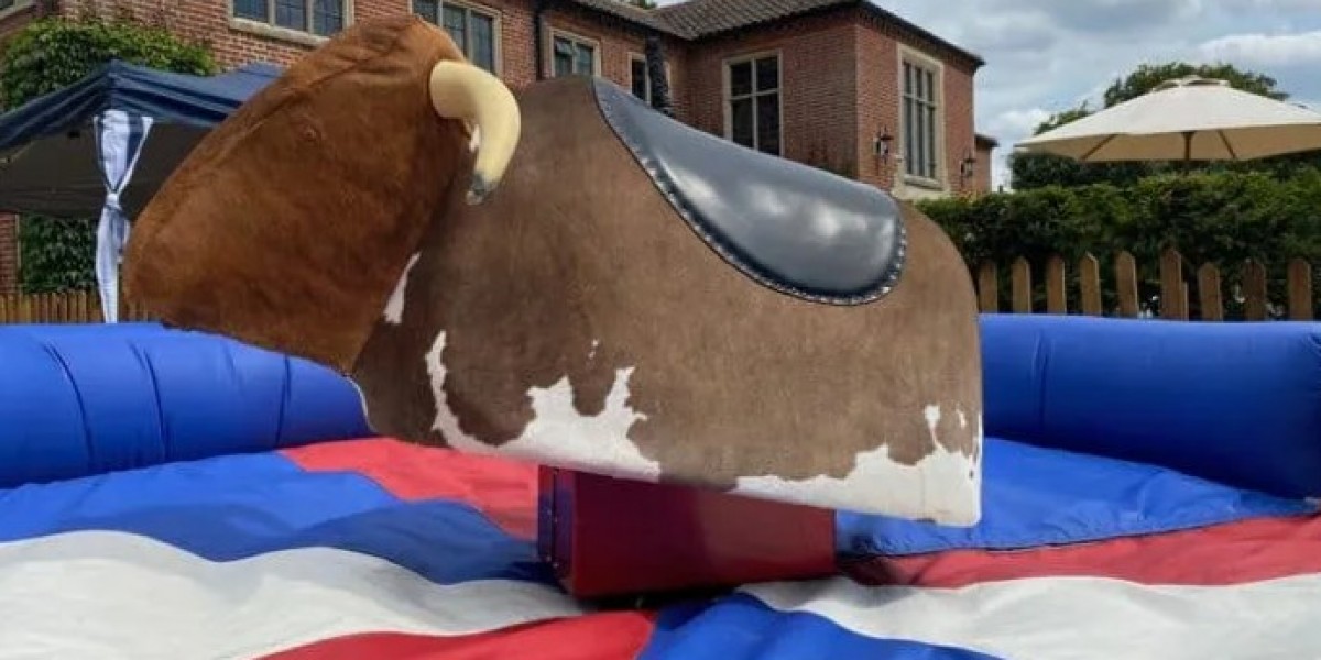 Experience the Wild West with Professional Rodeo Bull Hire