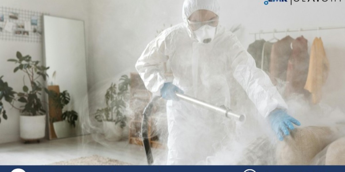 Biocides Market Growth Forecast (2025-2034) | Trends, Size, and Competitive Analysis