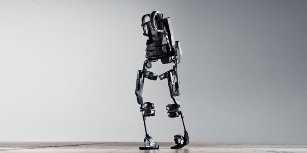 Exoskeleton Market Analysis: Growth, Trends, and Opportunities for 2025-2034
