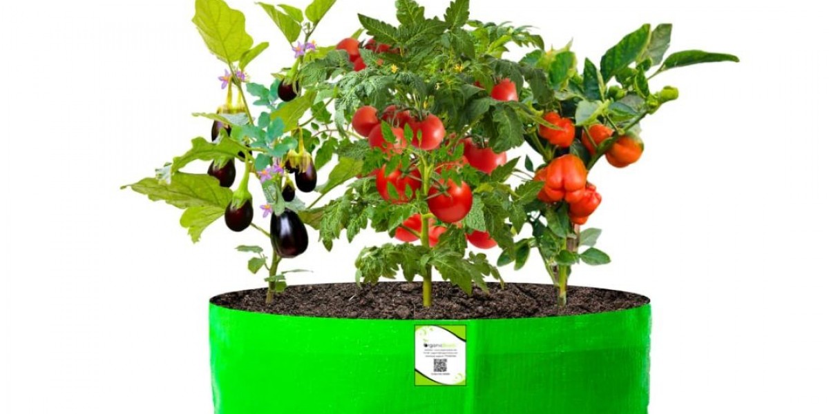 The Ultimate Guide to Planter Bags: A New Era in Gardening