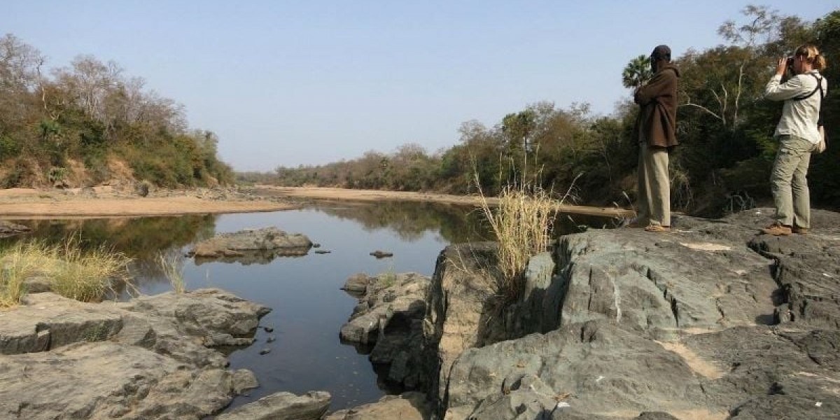 Cameroon e-Visa for Switzerland Citizens: A Complete Guide