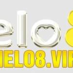 Demo Website Profile Picture