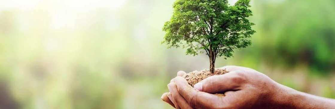 Rolly Receipts Cover Image