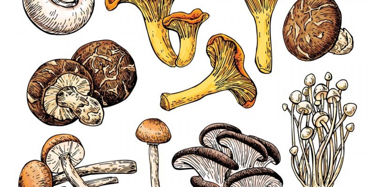 Serving Wayne County with Magic Mushroom Deliveries