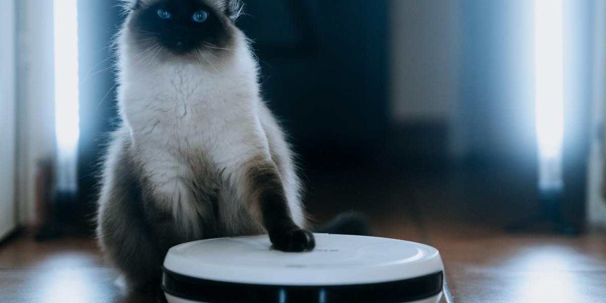 Why Automatic Vacuum Cleaner Is Fast Becoming The Hot Trend For 2024