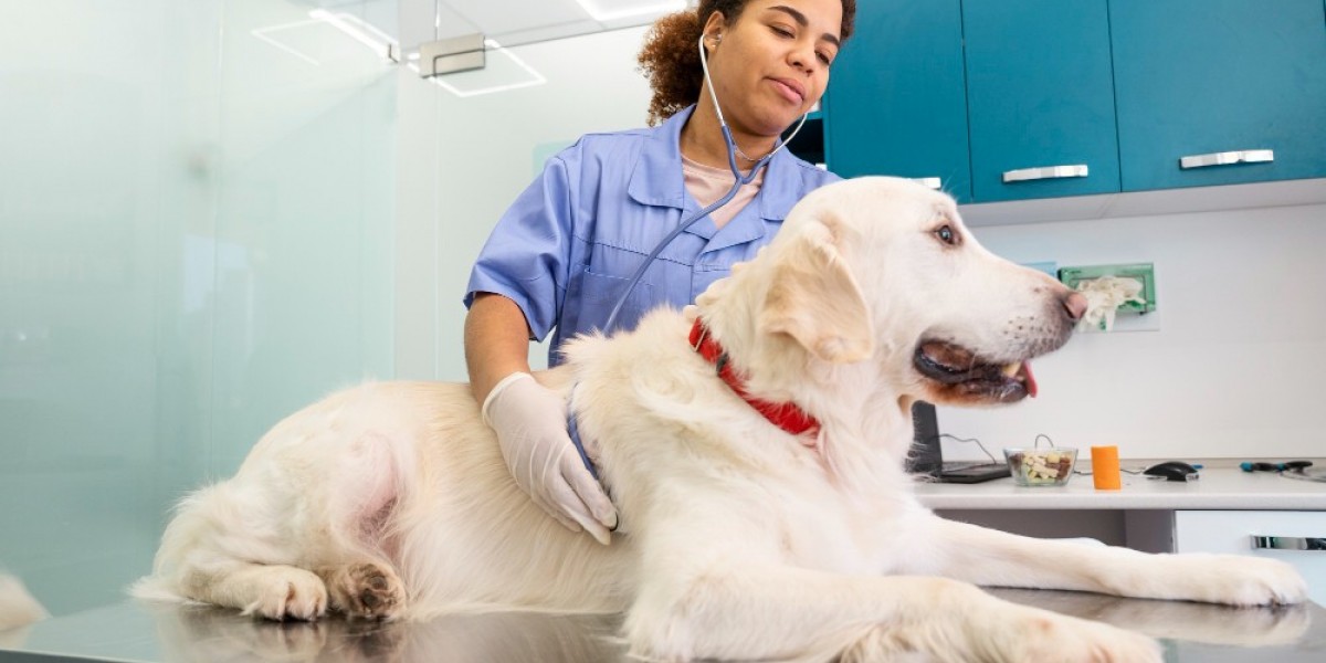 Discovering Quality Pet Care: Choosing the Right Pet Veterinary Clinic in Qatar
