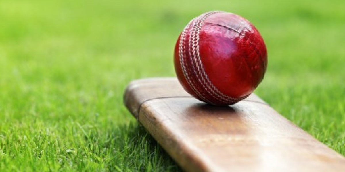 Everything You Need to Know About Online Cricket ID