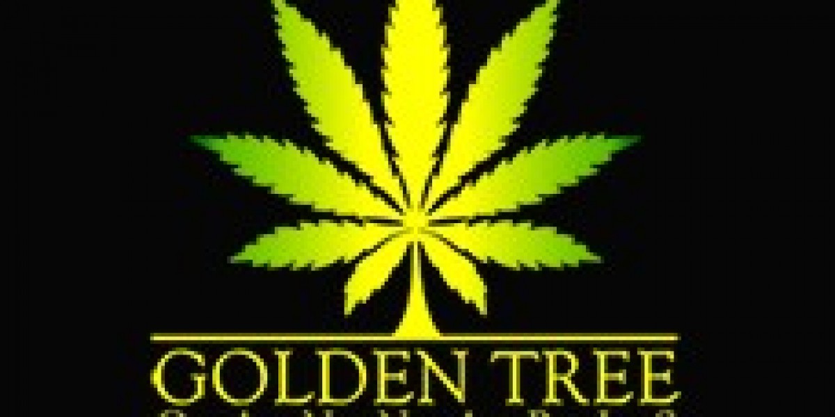 Exploring the Best Cannabis Retail Options: From Brampton to Online