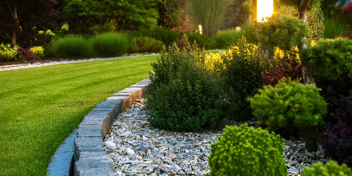 Landscapers Poole: Creating Stunning Gardens with Steve Collins