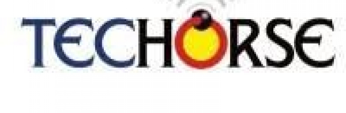 Techorse Cover Image