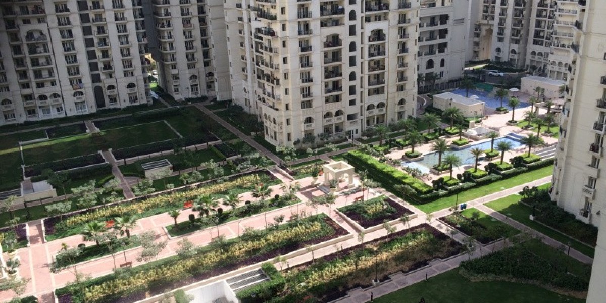 Delhi Darbar Satta King History – Full Chart & Latest Result Guide