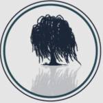 Willow And Bloom Coffee profile picture