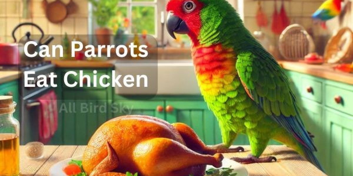 Virtual DJ Pro Infinity License Key