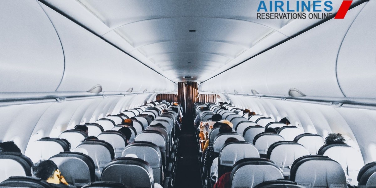 Domestic vs. International Travel: What You Should Know