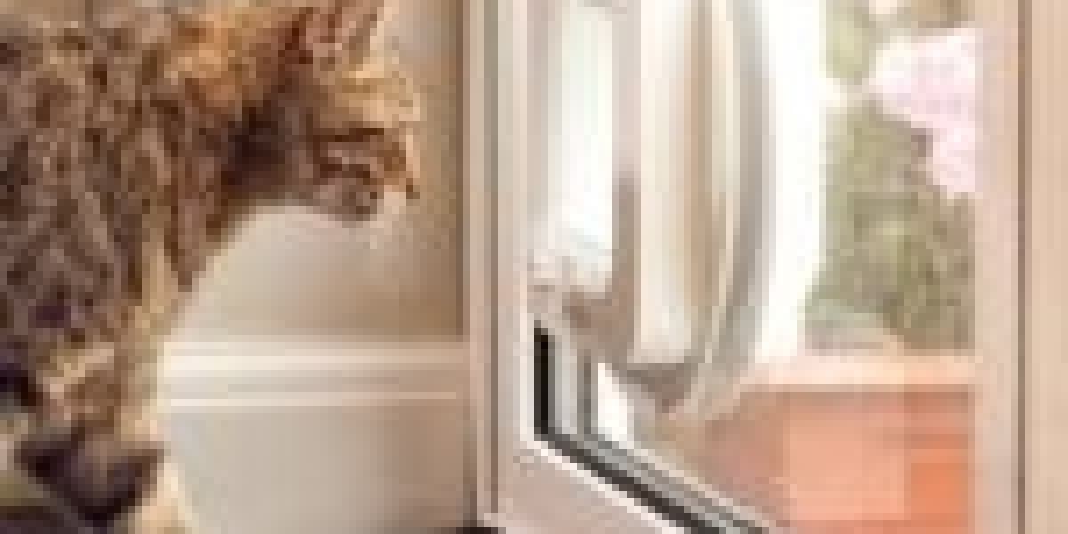 25 Amazing Facts About Cat Flap Installation Quote