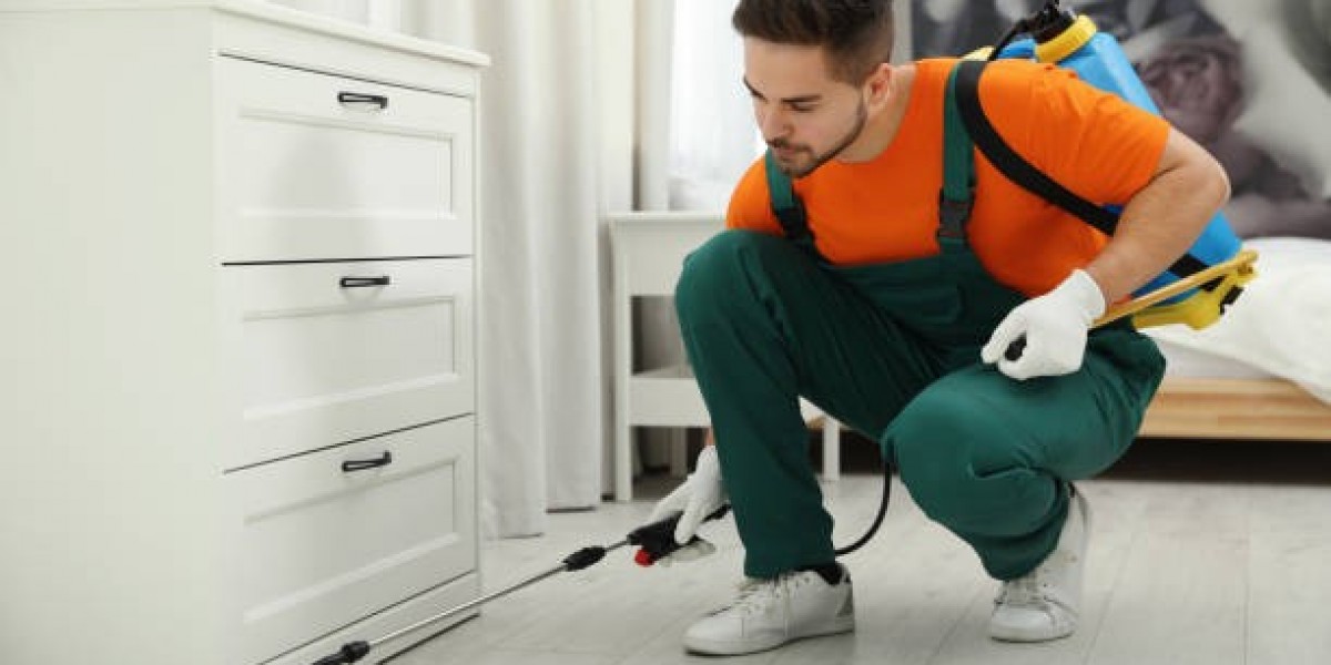 Termite Inspection in New Jersey