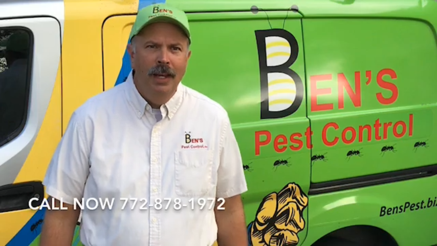 Best Pest Control in Port St Lucie