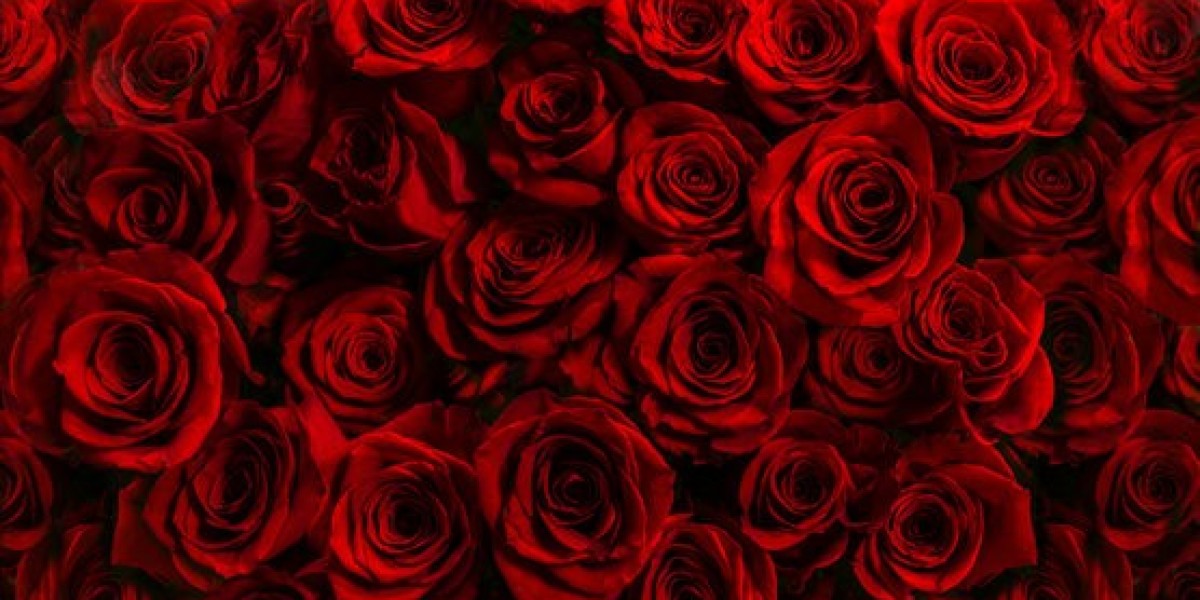 Quantum AI Explained: The Fusion of Two Cutting-Edge Technologies