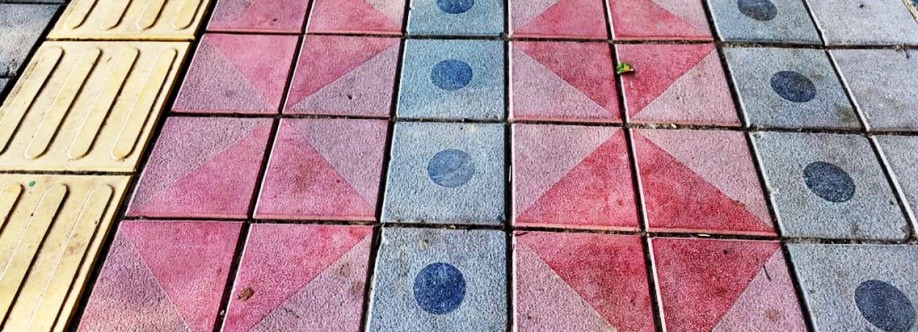 Pavers India Cover Image