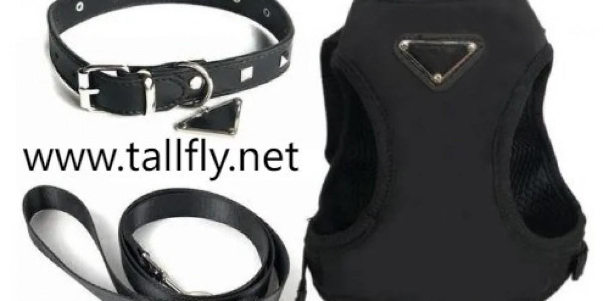 Pet Parent Education: Choosing Collars That Align with Planetary Health