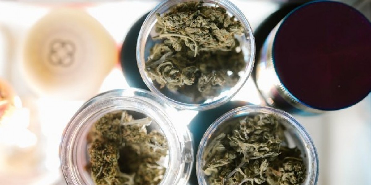 Explore the Best Products at Tarrytown Dispensary