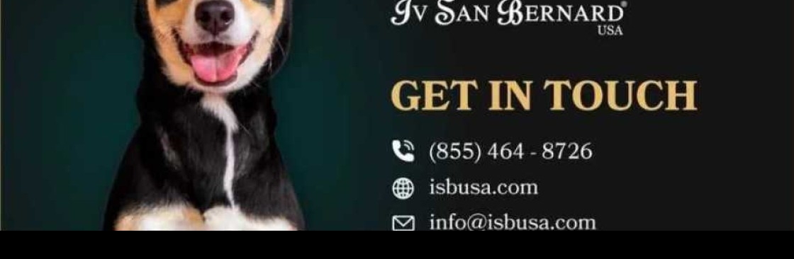 Iv San Bernard USA Cover Image