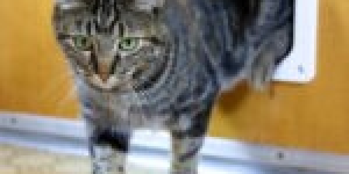 From Around The Web From The Web: 20 Awesome Infographics About Cat Door Installation