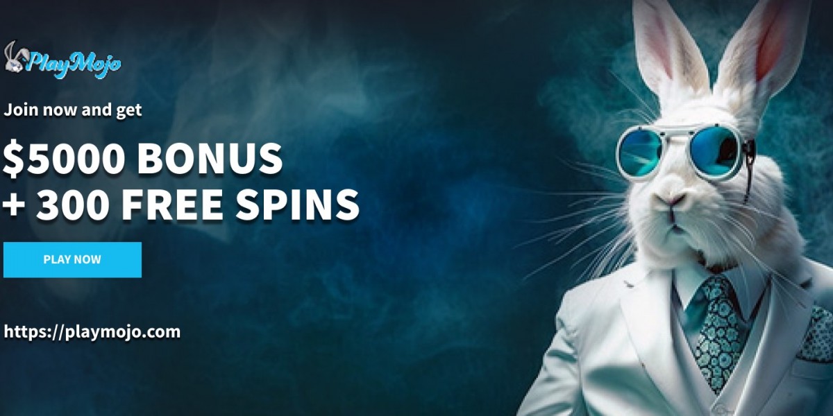 Playmojo Not Just a Name It’s a Vibe